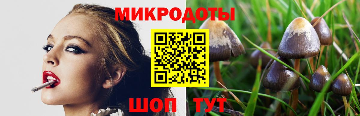 Галлюциногенные грибы Psilocybe  купить наркотик  Видное  Вход с VPN 